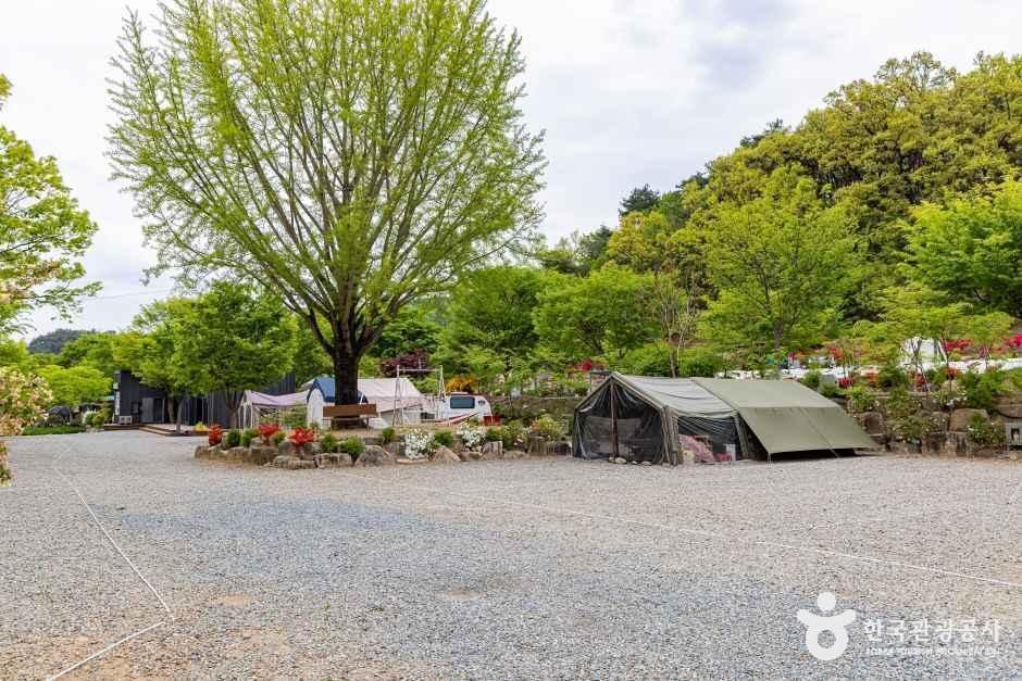 괴산 도명산 오토캠핑장