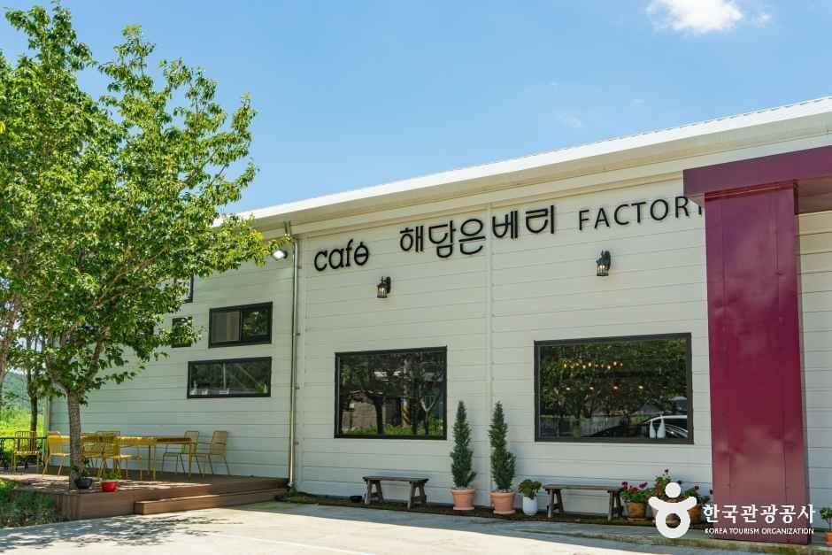 카페 해담은 베리
