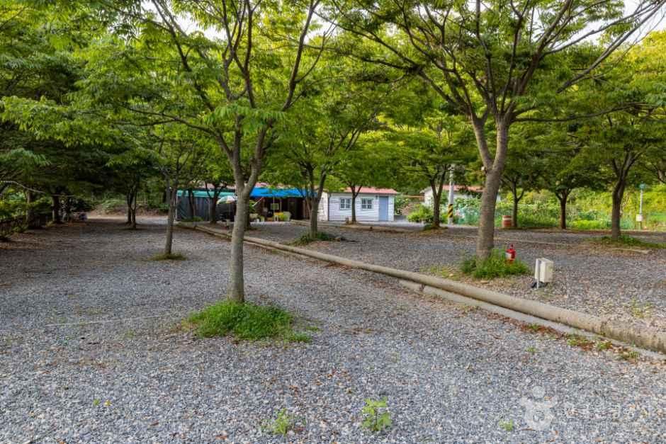 굼벵이캠핑농원