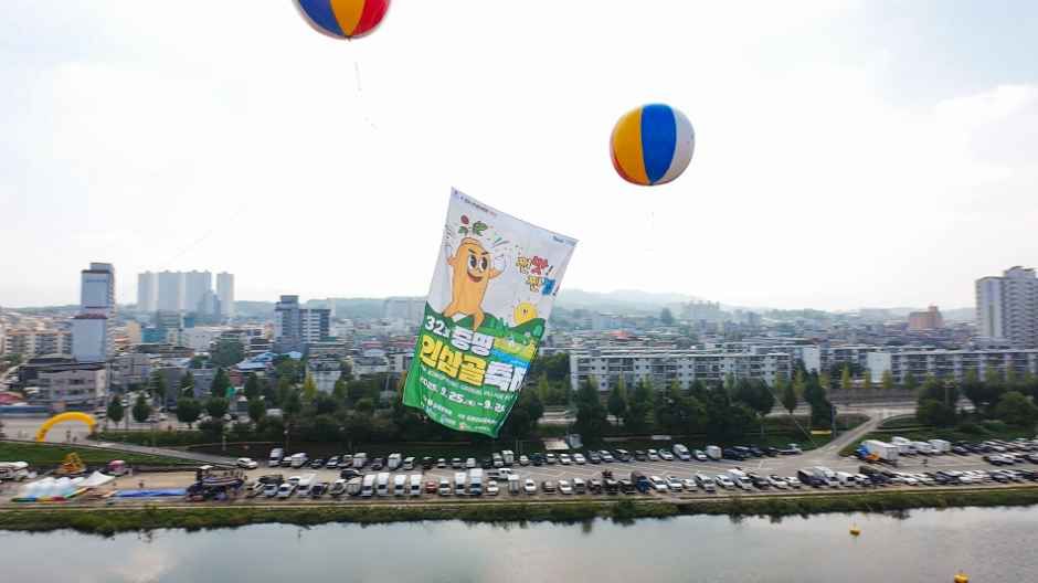 증평인삼골축제 현장 4
