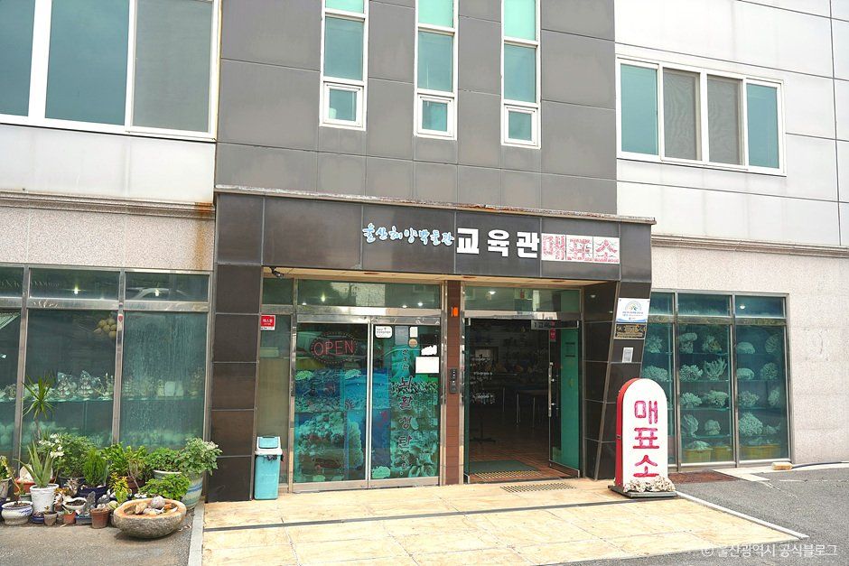 울산_울산해양박물관 (5).jpg