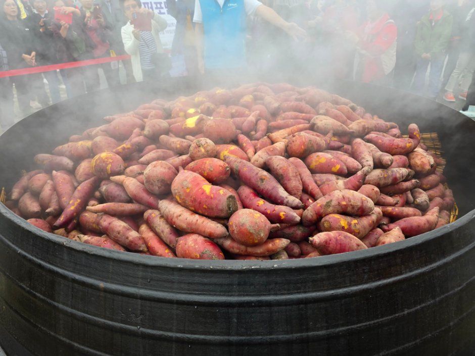 Wonju Agricultural Cooperative Chiaksan Sweet Potato Festival