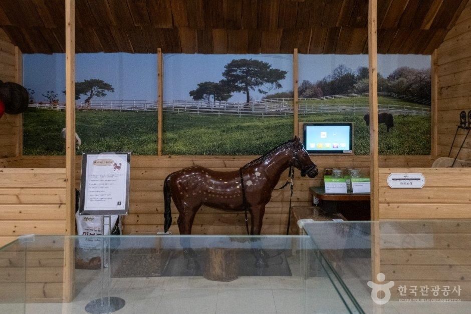 이번 주말 아이와 어디 갈까 경주·역사·놀이터 한 번에 잡는 과천 렛츠런파크_경기_과천_말박물관_9.jpg