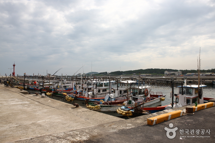 이호 테우해변 이호 테우해변