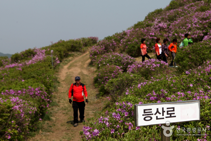 황매산(산청) 황매산(산청)