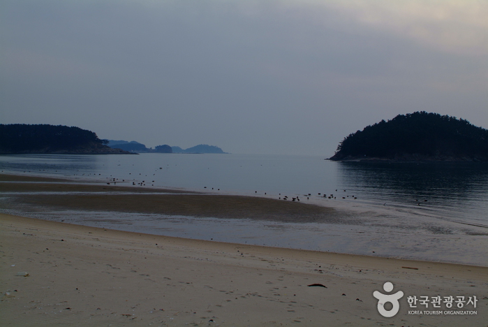 천리포해수욕장 천리포해수욕장