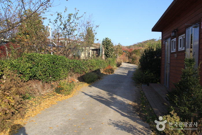 Ganghwa Nadeul-gil Course 7 Setting Sun Trail