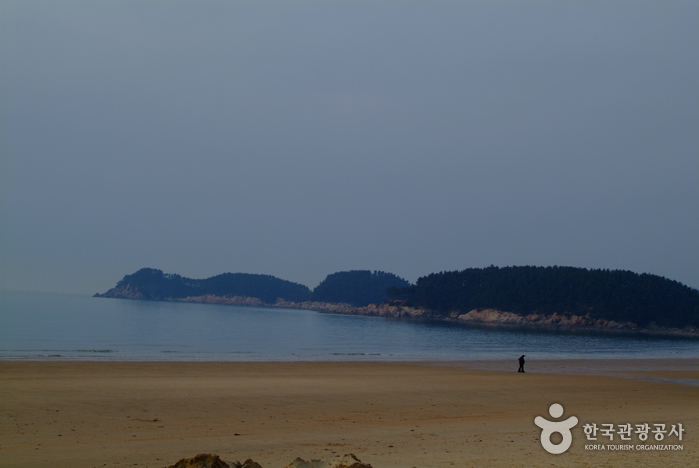 만리포해수욕장 만리포해수욕장