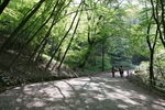 전북_전주_꽃과 예술이 함께 핀 동네03