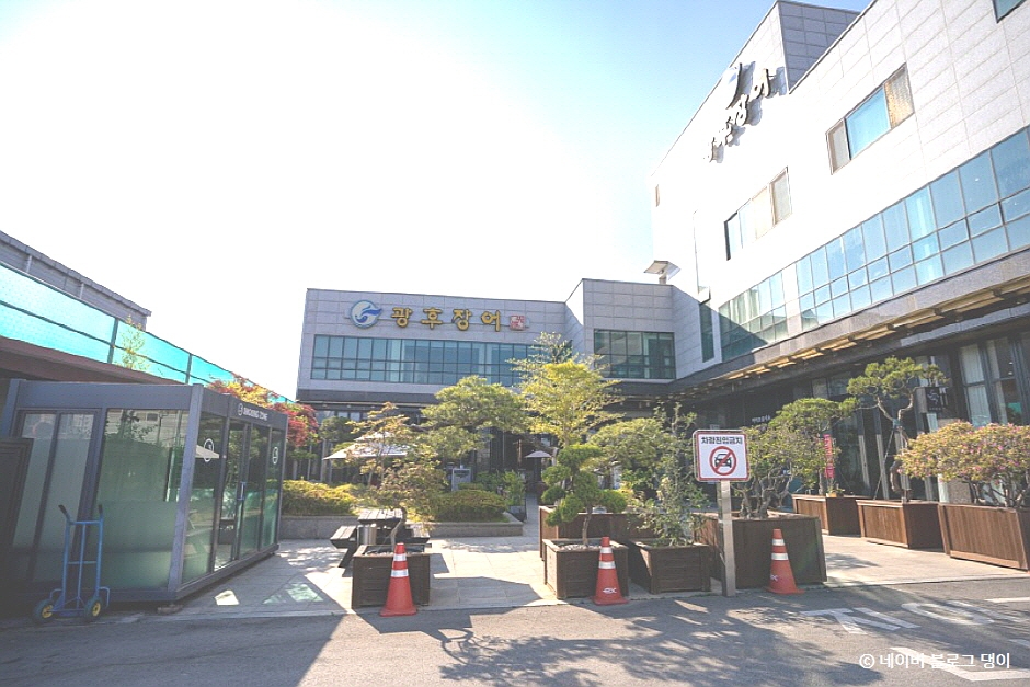 光厚鳗鱼