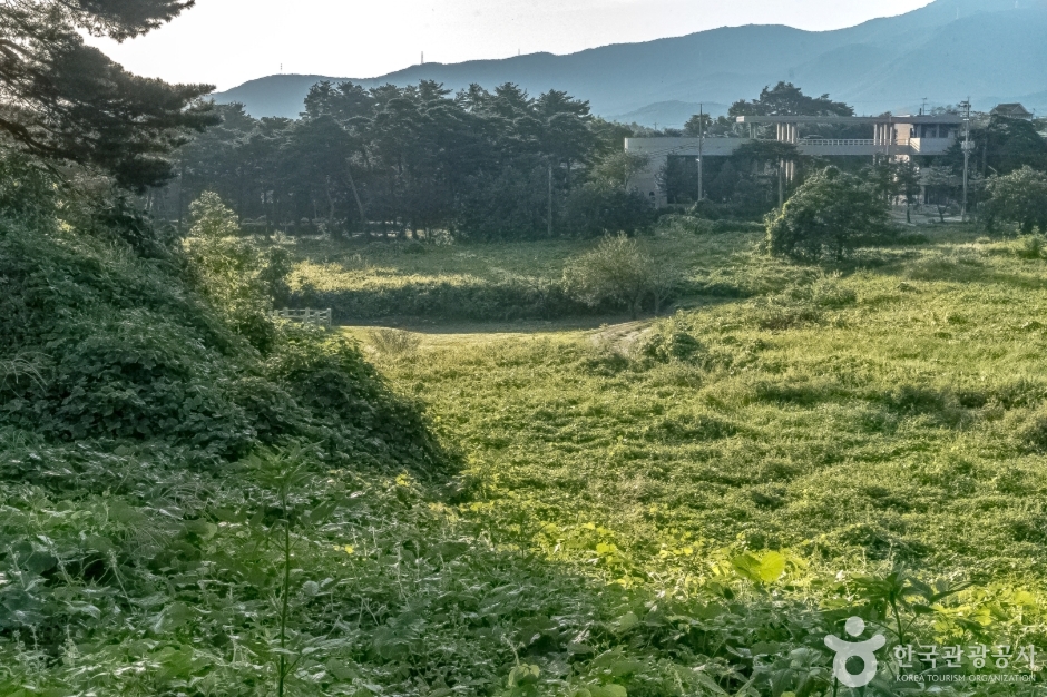 江陵 堀山寺跡