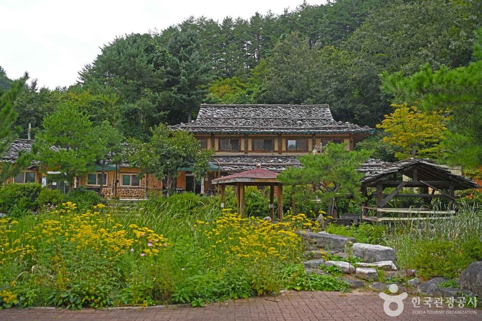 三陟 新里 木板屋根の村