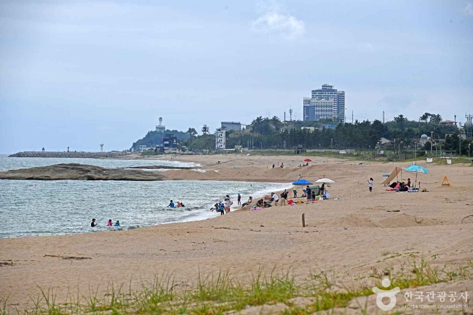 ケンシントン海岸