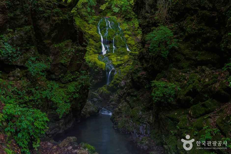 無乾里苔の滝