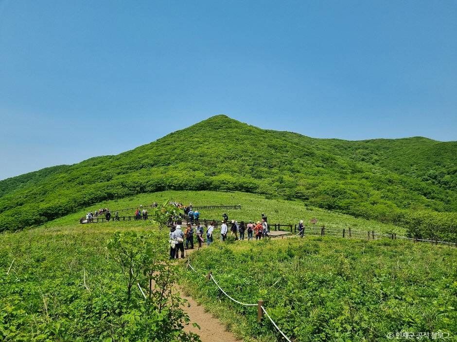 점봉산 곰배령