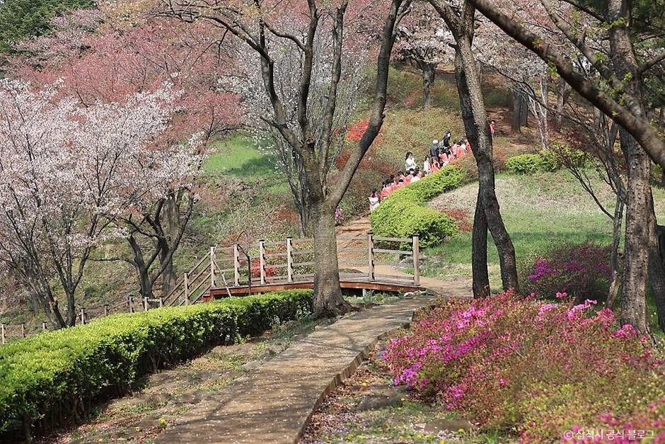 鳳凰山森林浴場