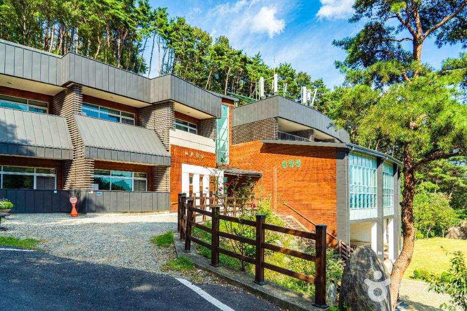 求在峰自然休养林