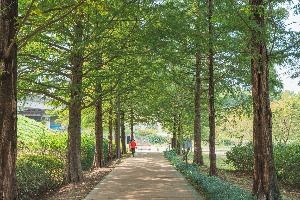 3566822 image3 1 예스키즈존 탐험대 : 실패 없는 육아여행