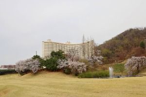 라비돌컨트리클럽