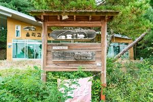 단호박올리고마을 사진 2