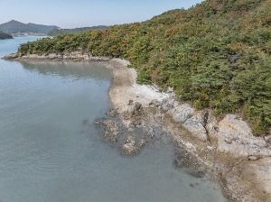 3581022 image3 1 예스키즈존 탐험대 : 실패 없는 육아여행
