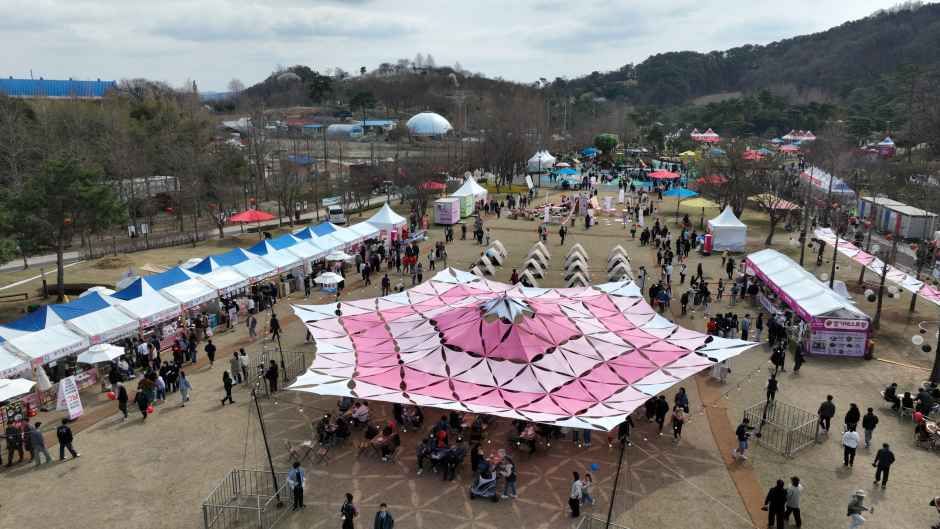 2026 논산딸기축제 (7).JPG