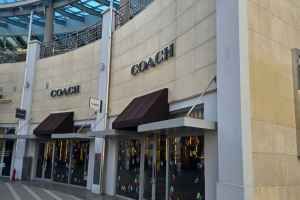Coach - Lotte Premium Outlets Gimhae Branch [Tax Refund Shop](코치 롯데프리미엄아울렛 김해점)