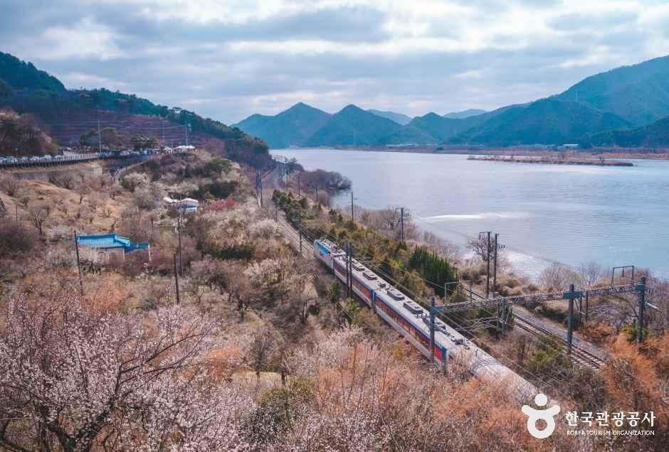 Sunmaewon Garden