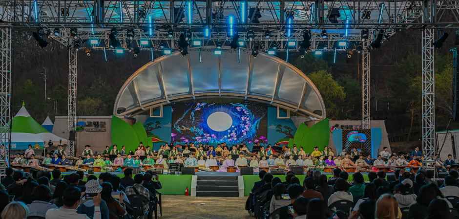 2026 고령 대가야축제 (14).jpg