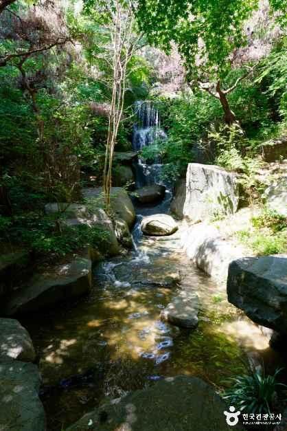 그림같은 수목원(그림이 있는 정원)