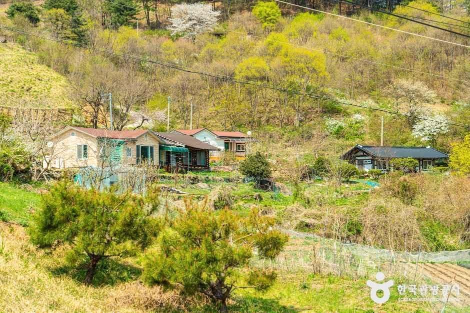 농평마을