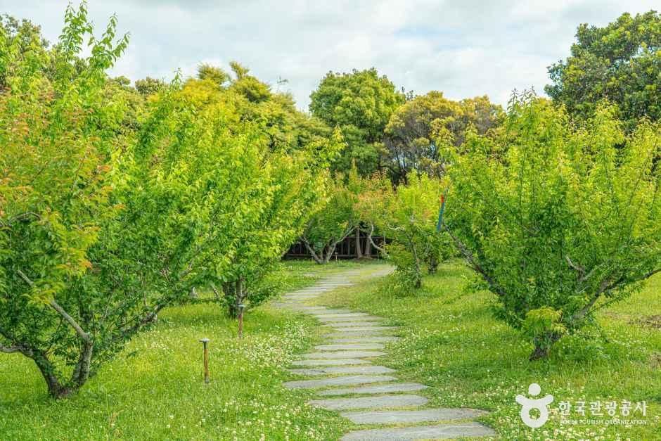 서귀포칠십리시공원