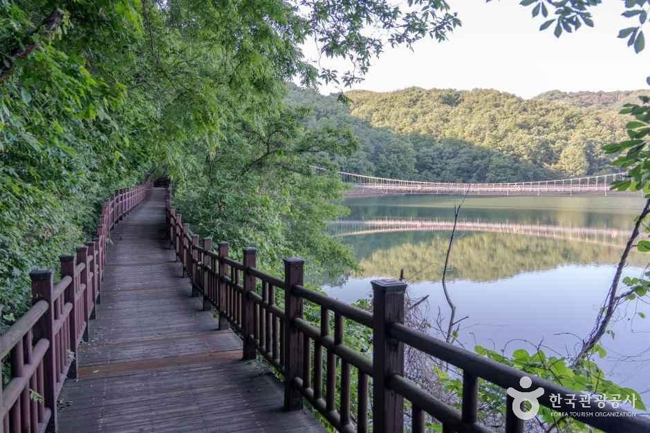 천장호 출렁다리