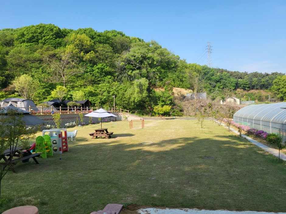 젤코바캠핑장