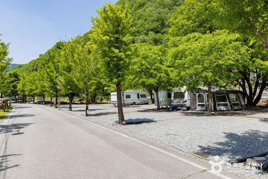 옥전캠핑장 - 충청북도 제천시 봉양읍 옥전길 273-17 관광 명소