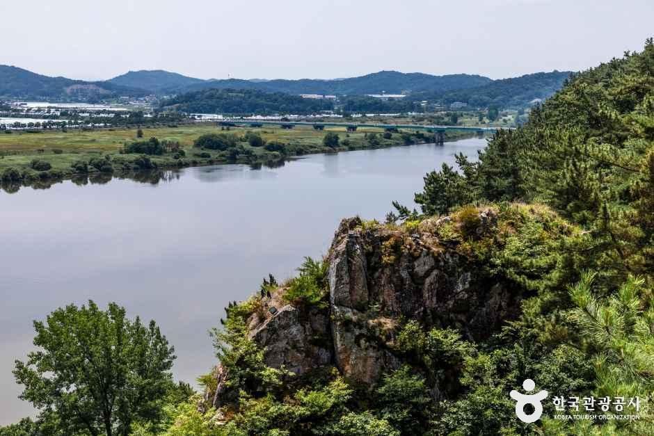 천정대
