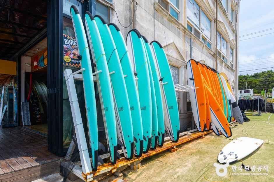 엠엘피서프
