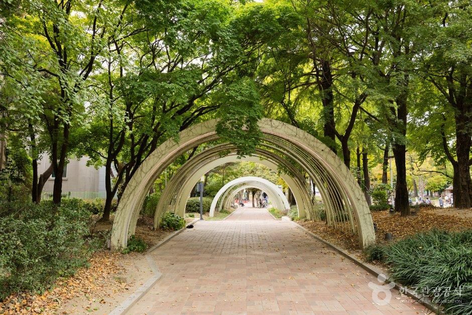 清州 中央公園