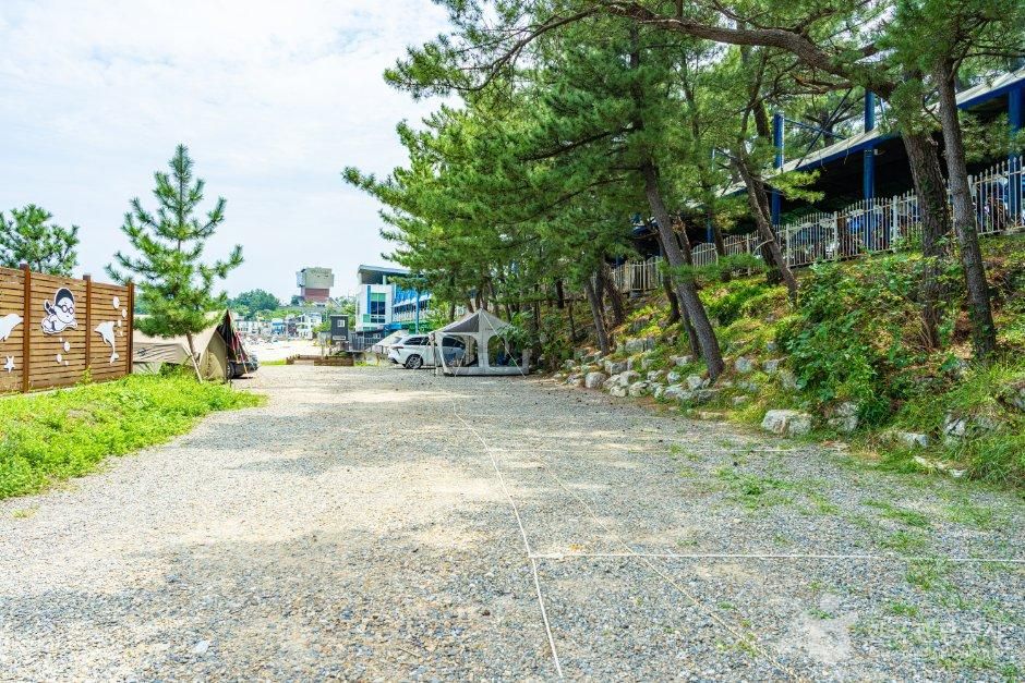 용화해수욕장 야영장