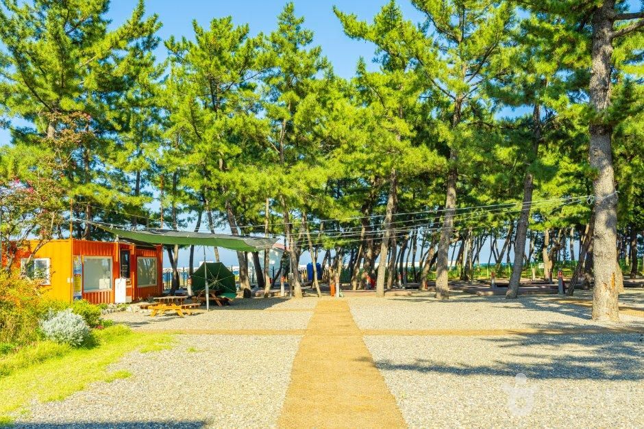 성북구 삼척수련원