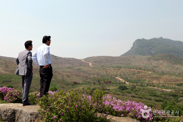 황매산(산청) 황매산(산청)