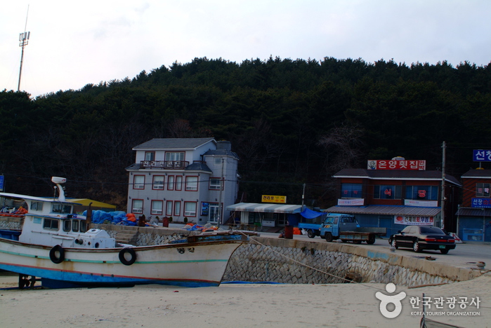 천리포해수욕장 천리포해수욕장