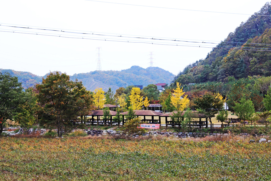 新垈里村