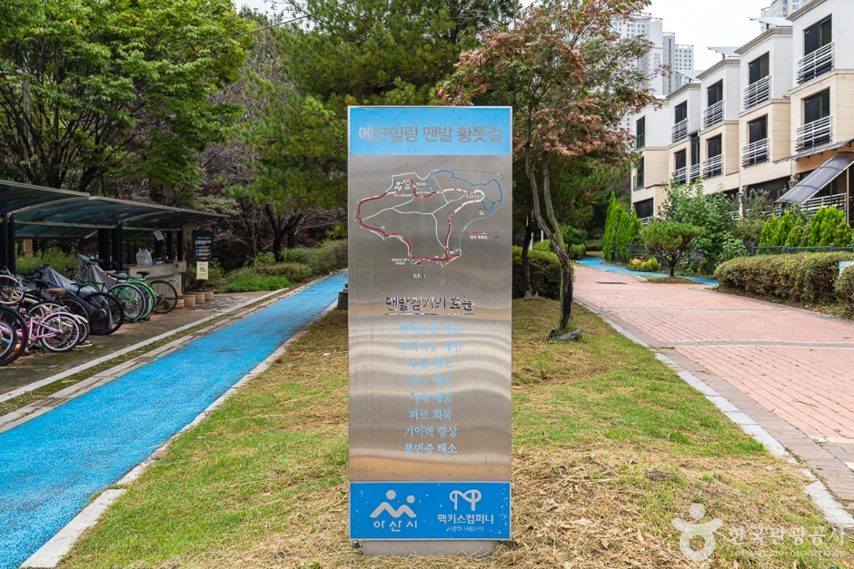 生态治愈黄土路