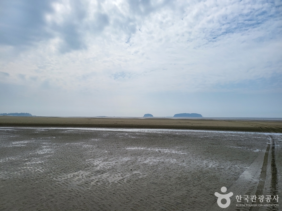 高敞干潟