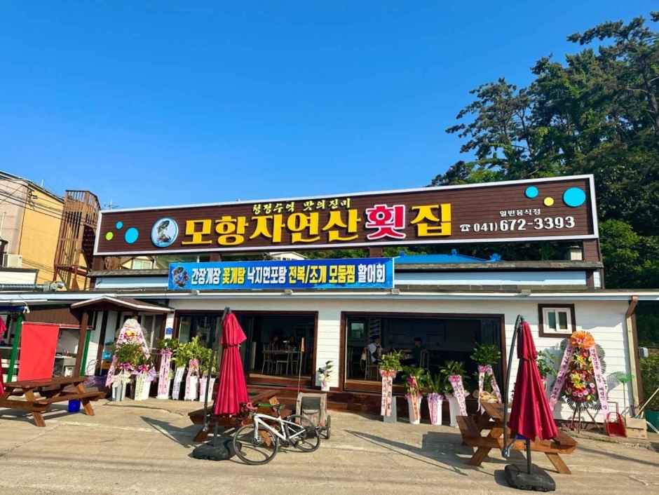 Mohang天然生鱼片店