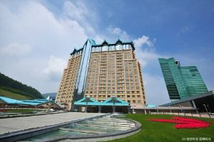 강원랜드 카지노