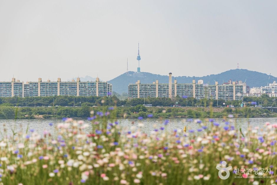 盘浦瑞来岛