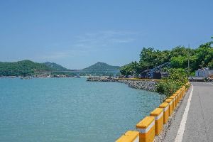 지죽도