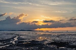 장화리일몰조망지